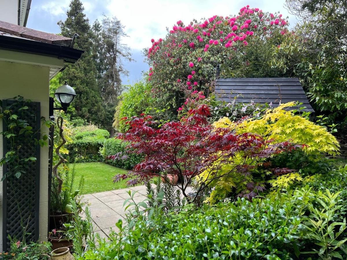 Hollyhocks Holiday Home- 2 Bedroomed Ground Floor Apartment Sleeps 5 艾维布里奇 外观 照片
