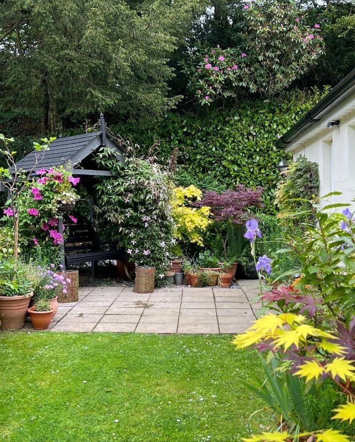Hollyhocks Holiday Home- 2 Bedroomed Ground Floor Apartment Sleeps 5 艾维布里奇 外观 照片
